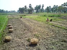 Nalanda updates