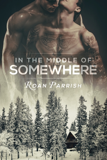 In the Middle of Somewhere by Roan Parrish - Gay Romance Novel