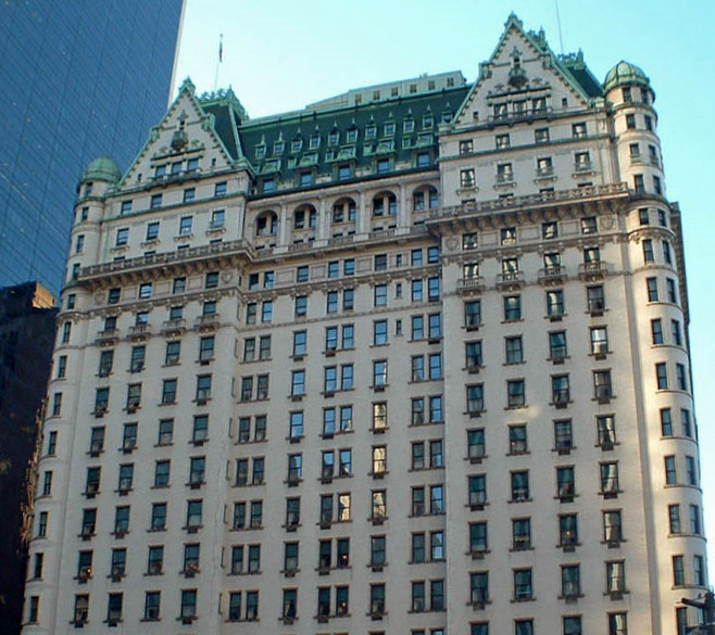 Genickstarre NYC Kevin nowhere to see The Plaza Hotel