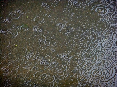 chennai-rain-drops