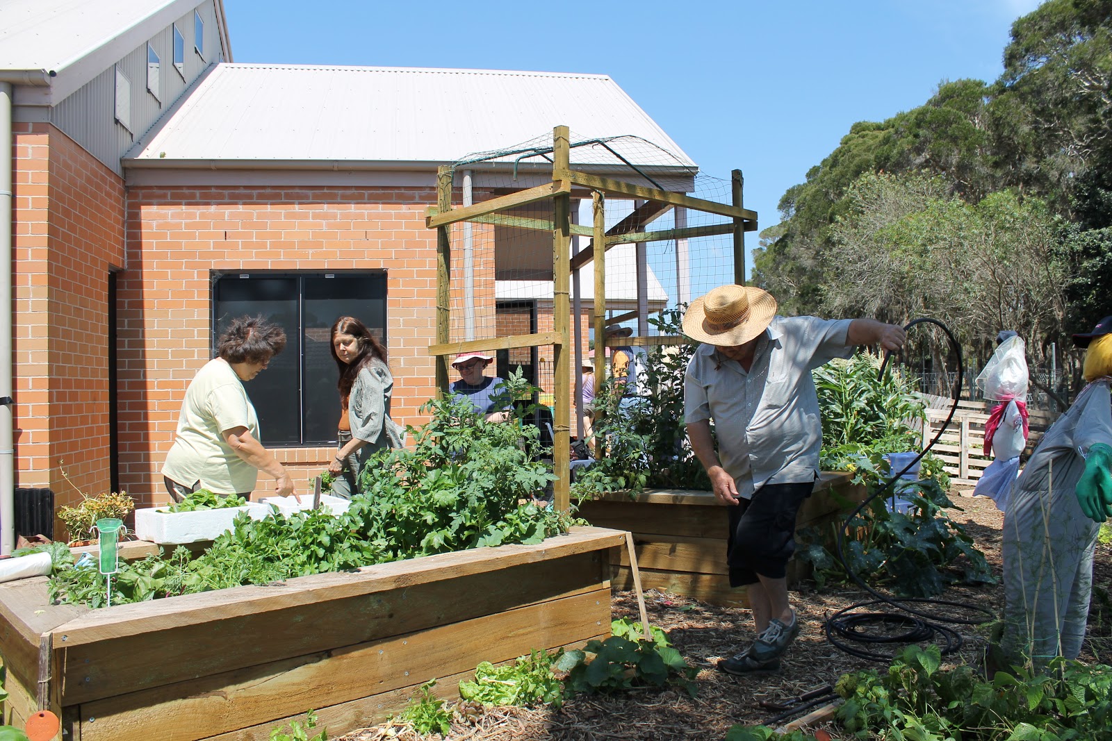 Blooming Gardens Community Garden Albion Park
