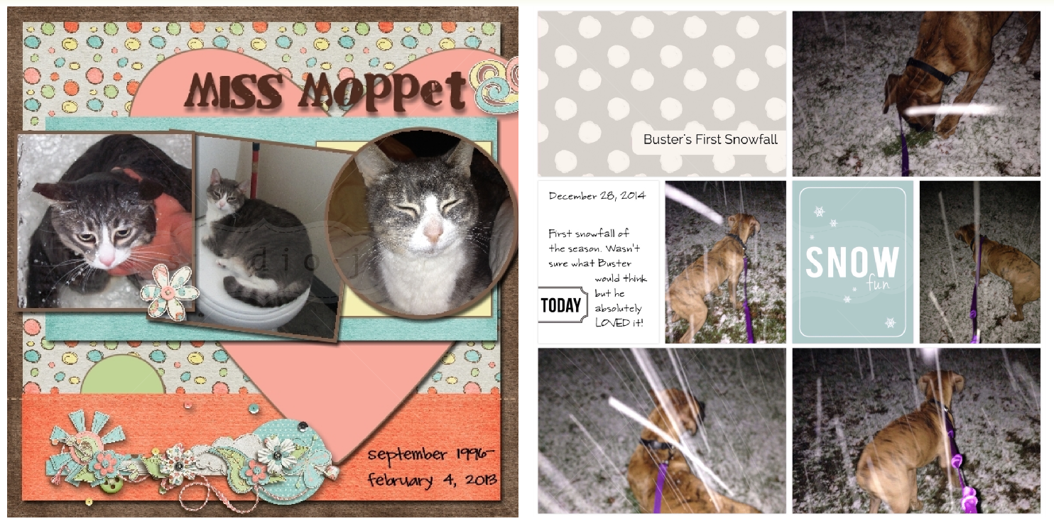 Nancy's Scrappin' and Stamps Last Days of Studio J 5 layout sale