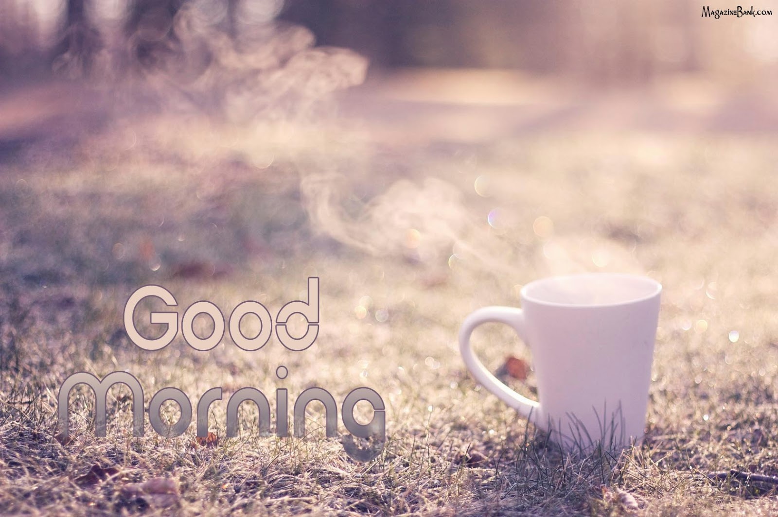 Good Morning Beautiful Text Pictures Good morning beautiful text Good Morning Beautiful Text Pictures Good morning beautiful text