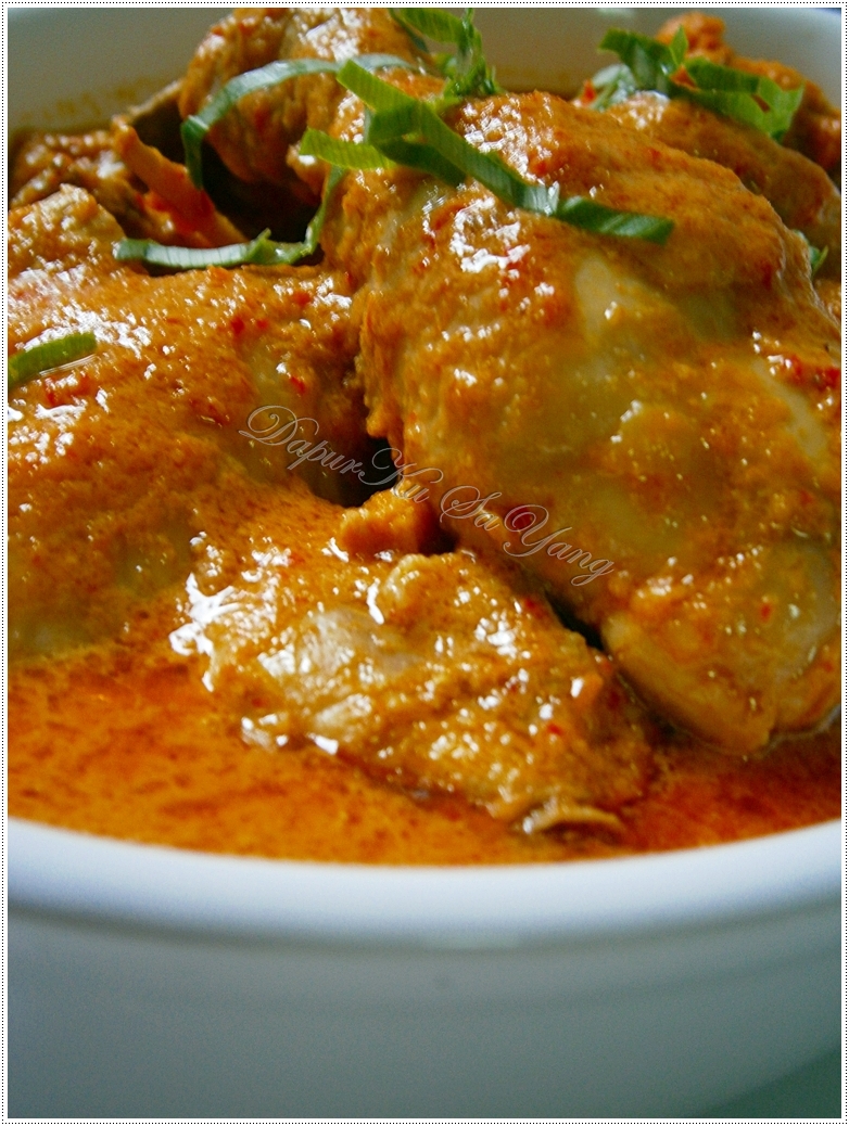 DapurKu SaYang Ayam Masak Padang