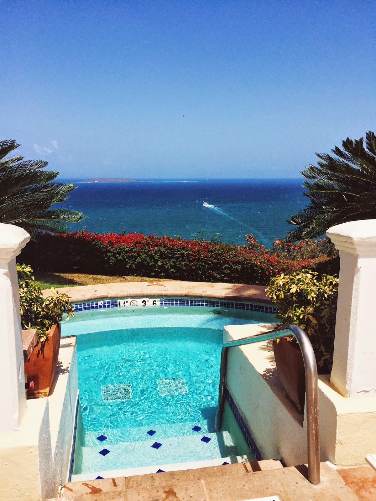 The Beetique El Conquistador Puerto Rico