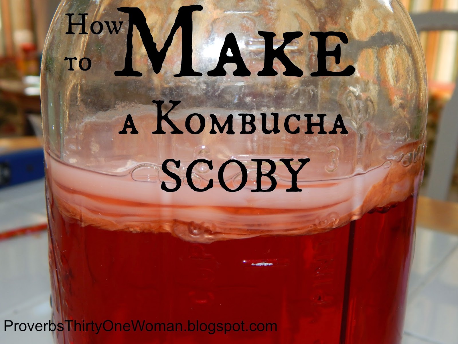 How to Make a SCOBY for Kombucha Proverbs 31 Woman