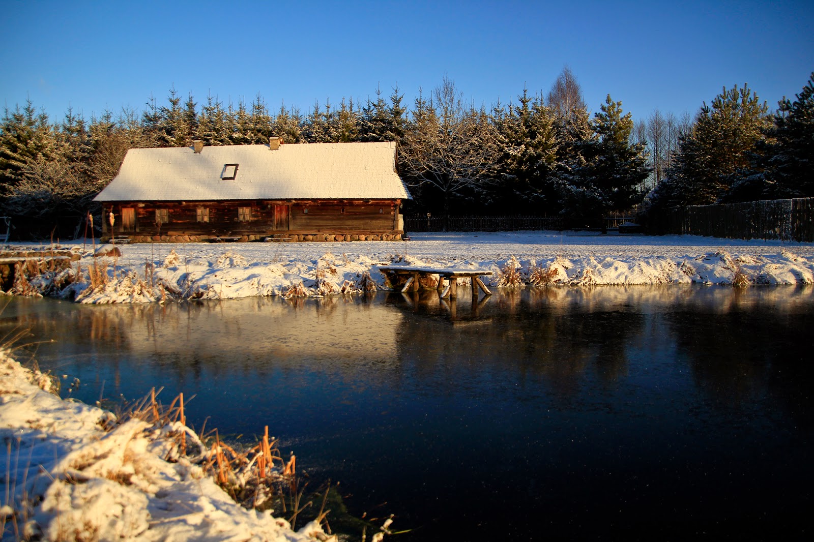 Gwiazdka w Puszczy - Ania w Podróży
