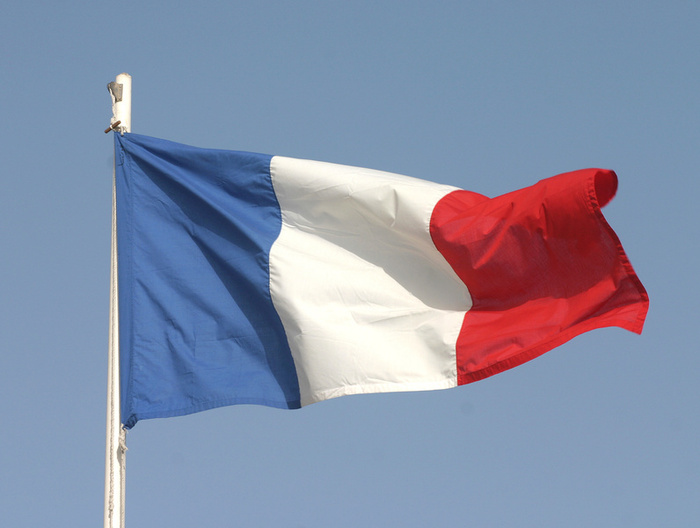Pictures Of France Flag. flag of france. white and