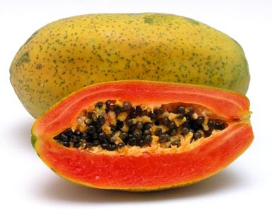 Papaya papaya