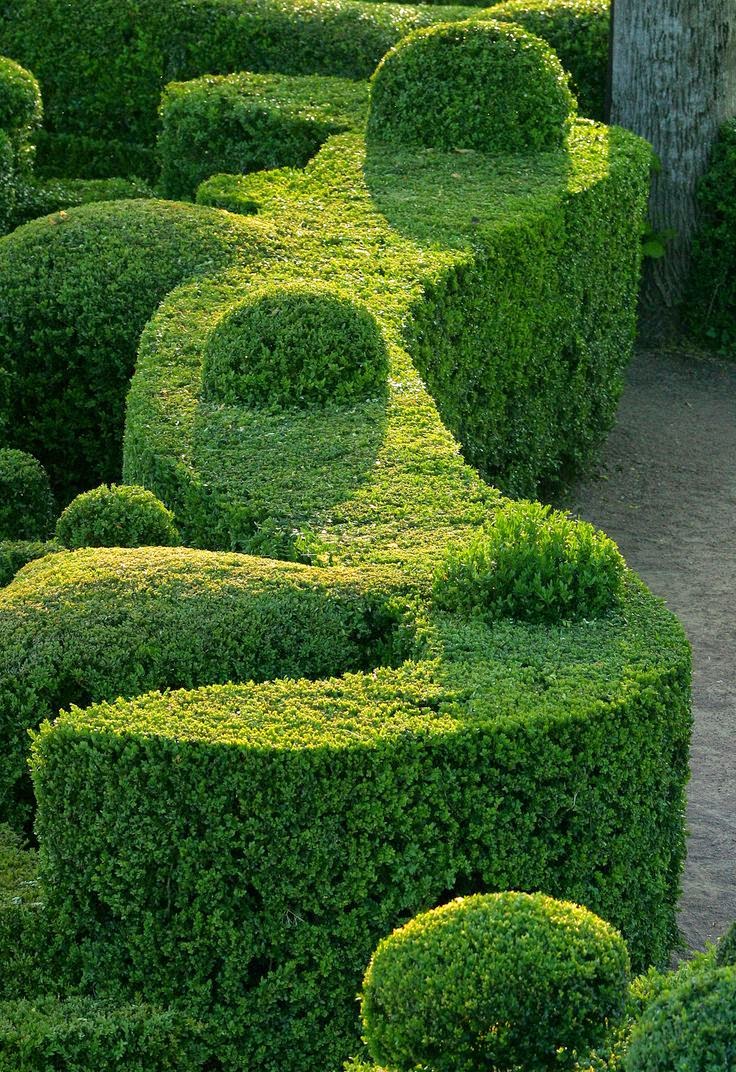 alchemologie: Topiary and Creating a Green Fragrance