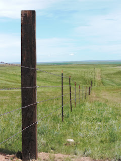 A fence surrounding 132 acres near Black Hills photo by Lee Alley