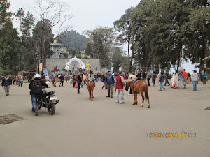 "CHOWRASIA" in Darjeeling.