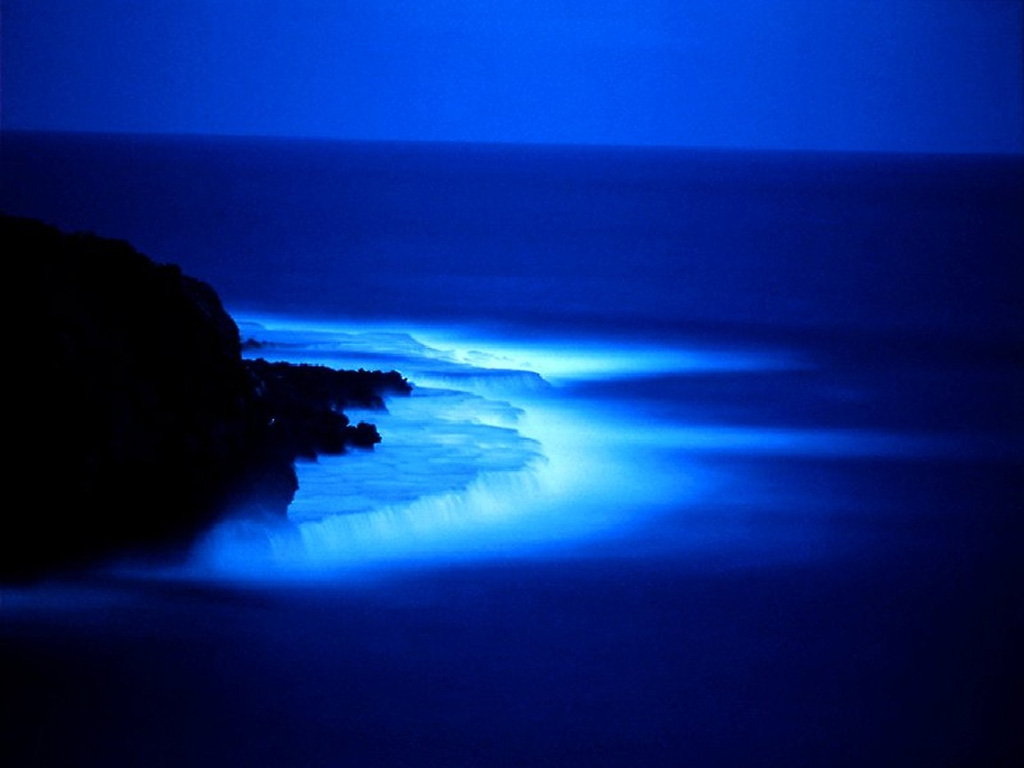 http://4.bp.blogspot.com/-LnnuBLh7C-o/T0HN5PBysLI/AAAAAAAABwg/blHoikrk69U/s1600/Nacht_Strand_Bild.jpg