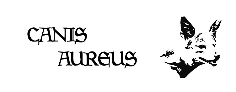 The Canis Aureus
