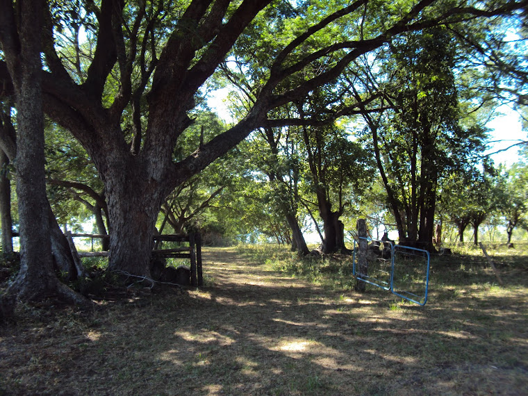 Caminhantes de Uruguaiana