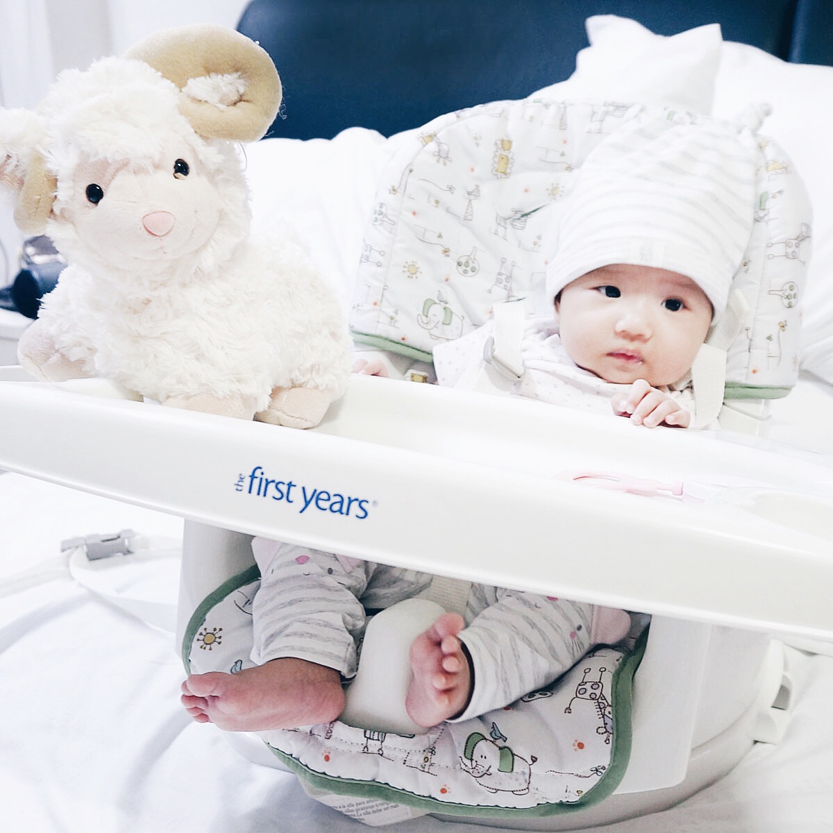 miswivel feeding chair