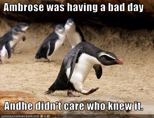 funny pictures penguin has a bad day OF The Day Funny Videos Jokes and Funny Pics