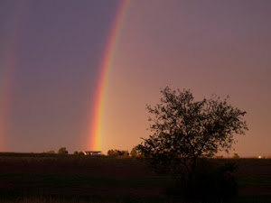 under the rainbow