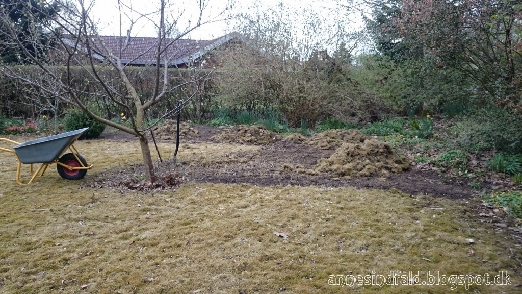 Annes indfald: april 2015