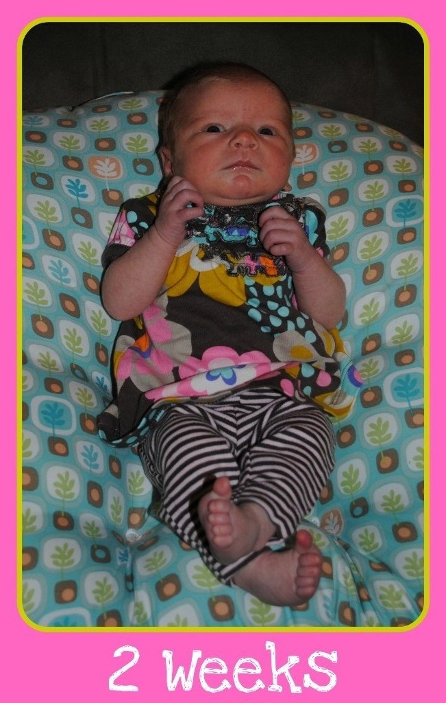 Consider It Joy 2 Weeks Old