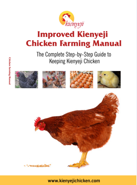 Kari improved kienyeji chicken kenya image