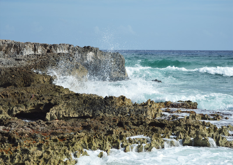 The Flying Clubhouse: Cruise | Cozumel The Flying Clubhouse: Cruise | Cozumel