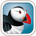 تحميل برنامج بافين للاندرويد | puffin web browser apk