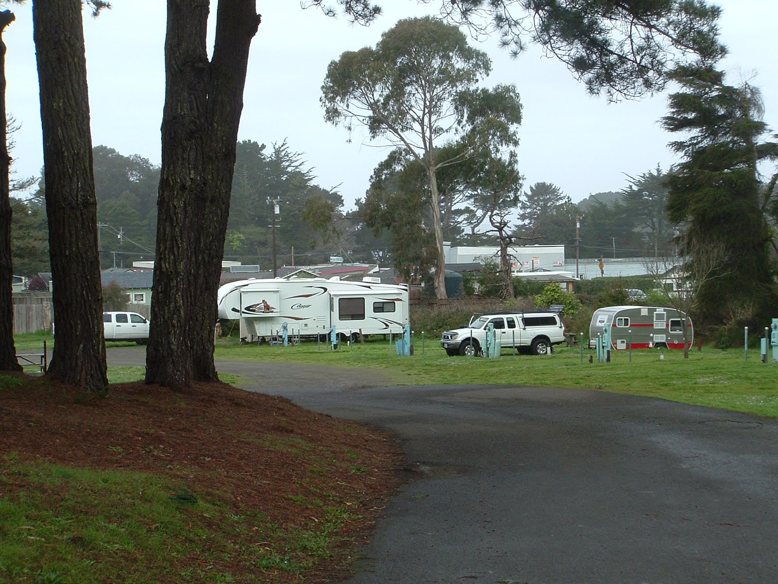 Hidden Pines RV Park Campground Fort Bragg California Hidden Pines