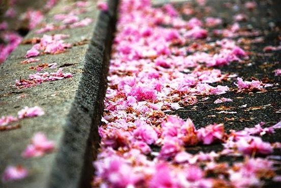 Hãy đứng dậy và đi tìm niềm vui cho mình đi...