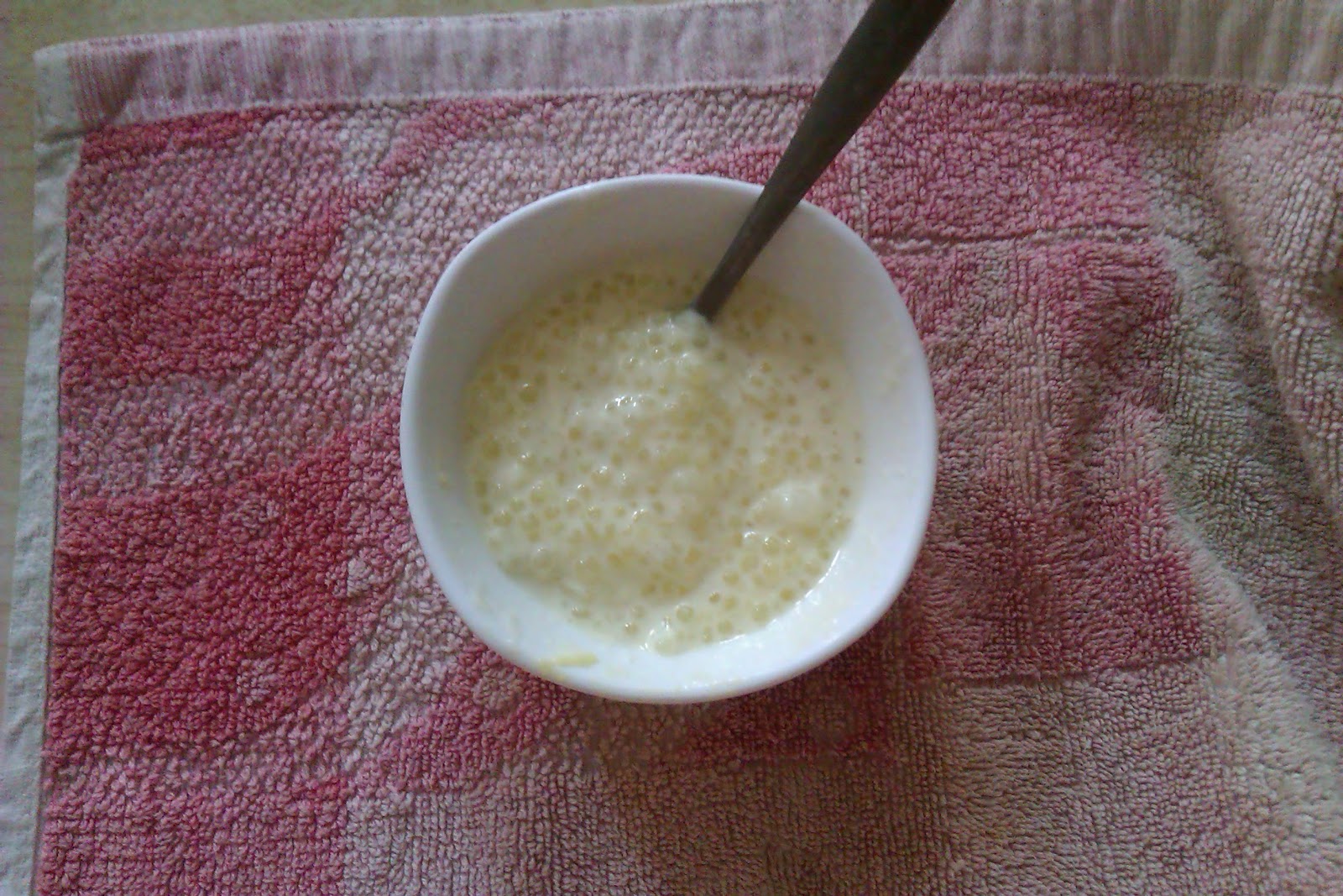 Ambrosia Sabudana kheer in coconut milk