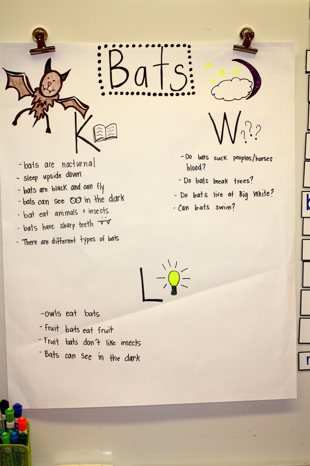 Ms. Liebel's Classroom All About Bats