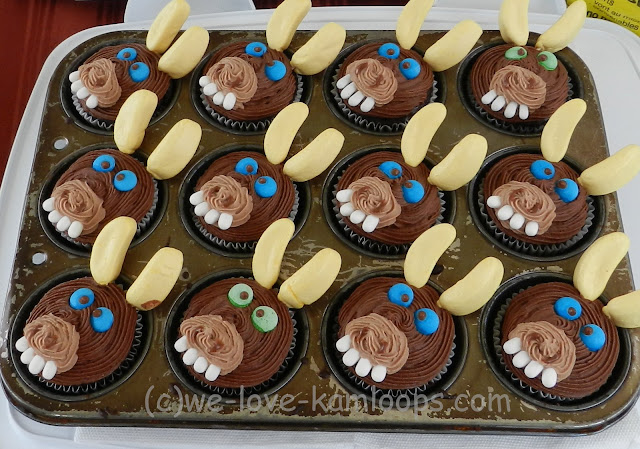 Donkey face on cupcakes sold as a fundraiser