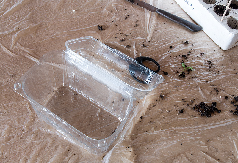 Improviziran mini rastlinjak DIY mini home garden plastična posodica za rastlinjak