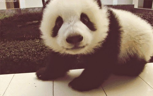 # I love Pandas ~