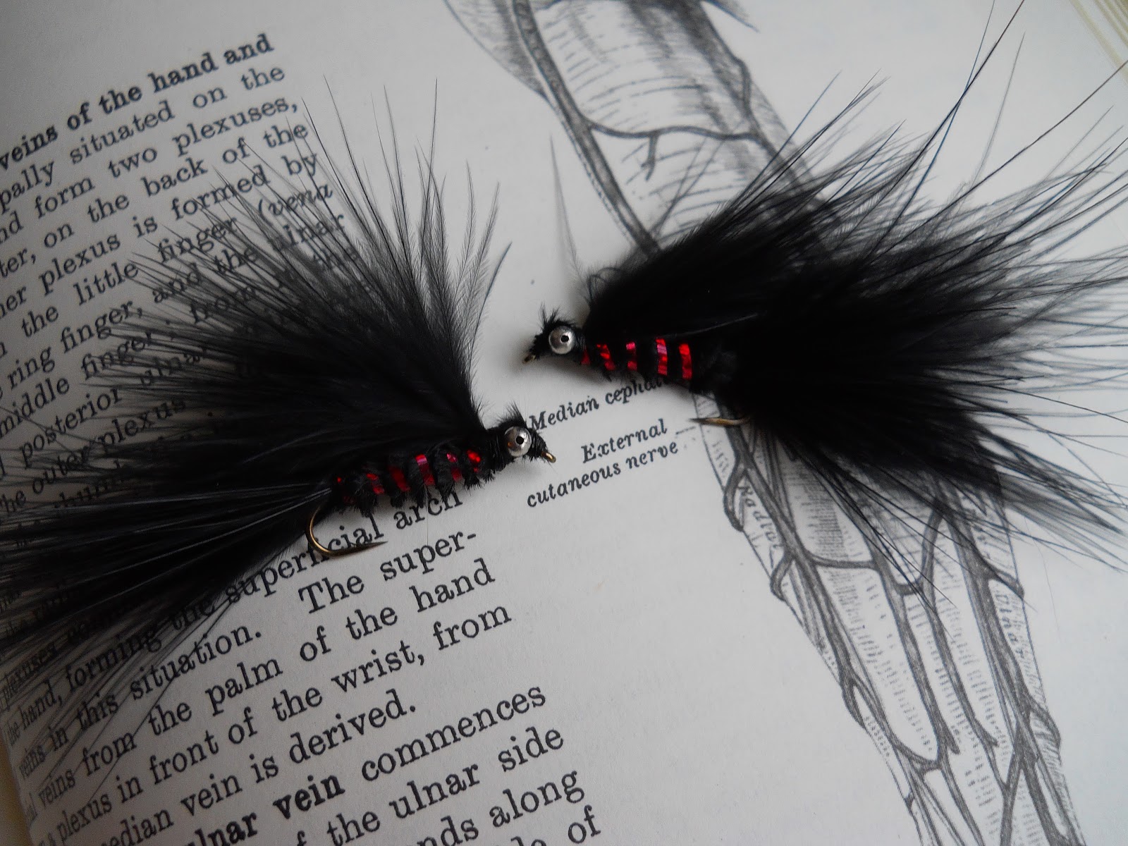 streamer for trout
