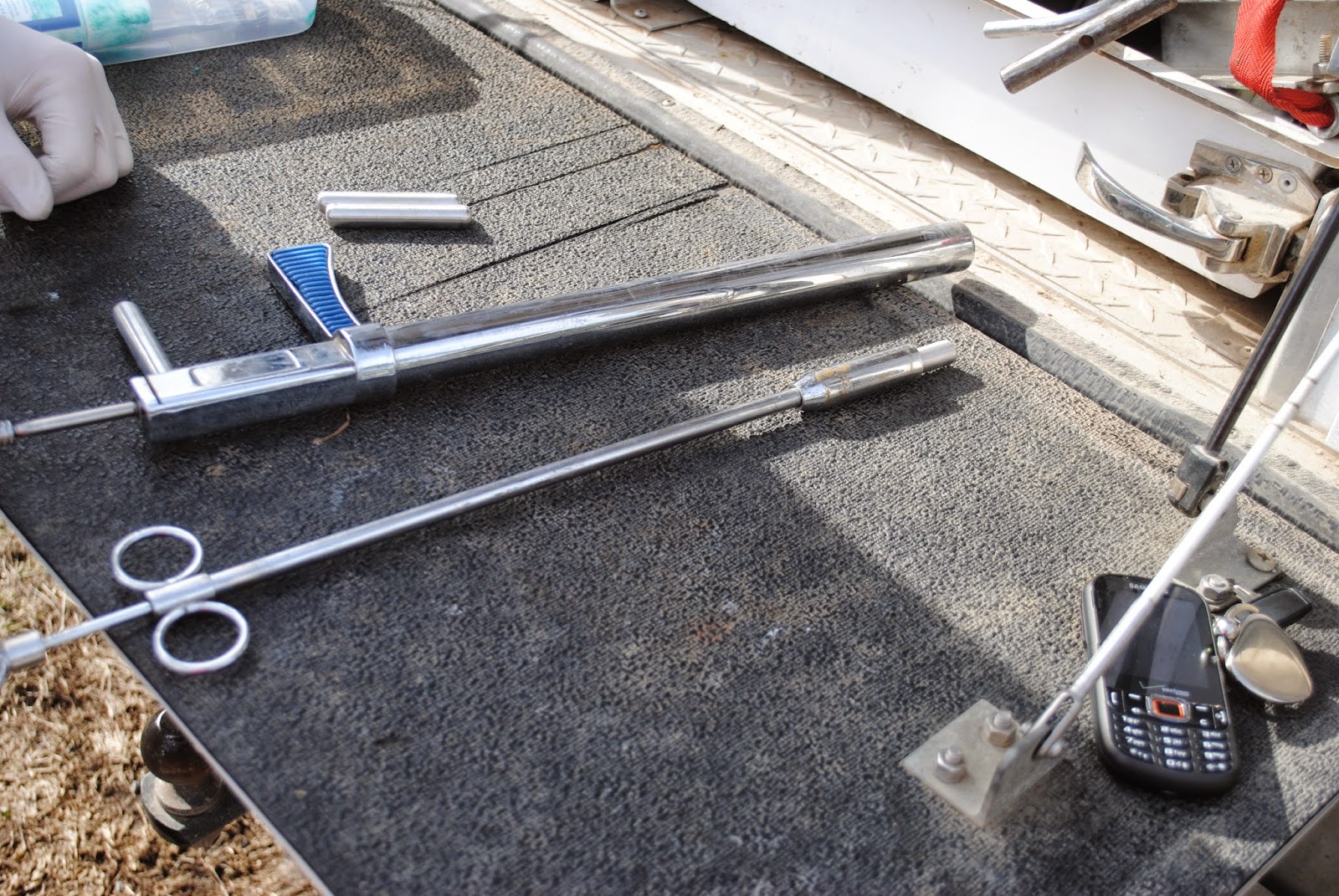 Adventures on Zephyr Hill Farm Fatal Attraction Hardware Disease in