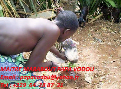 776655_4AM6SIB3FWK2JMNJYV65W4NM5NHYQ6_18-sorcier-vaudou_H225