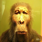como o ser umano evoluiu? de onde viemos? a quanto tempo o universo existe? como surgiu as teoria da evoluão? confira essas duvidas no vida de meme