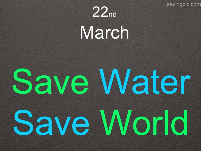 Quotes About Water Magnificent World Water Day Quotes For Increase The Awareness Of People To Quotes About Water Pleasing World Water Day Quotes For Increase The Awareness Of People To