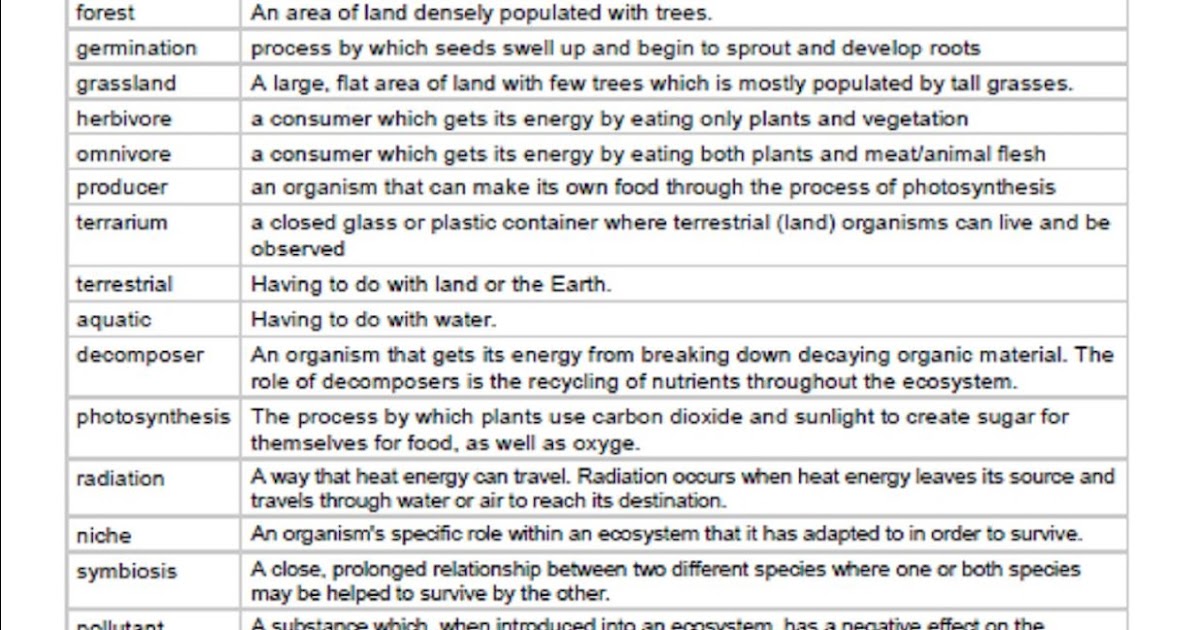 5th Grade at a Glance: Ecosystems Vocabulary
