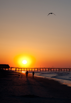 Endless Summer Festival Myrtle Beach Endless Summer Festival Myrtle Beach