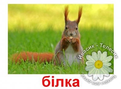 Тварини Тварини