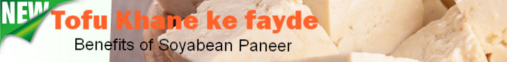 soyabean paneer