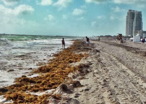 Urlaub in Florida: Miami Beach
