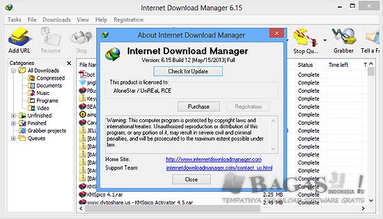 Internet Download Manager 615 Build 8 Final Portable
