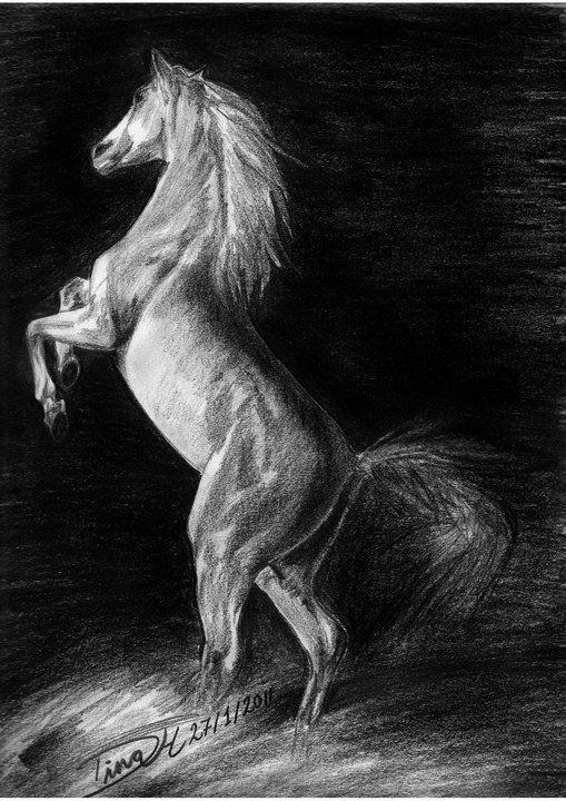 فنون أج مل 70 رسم رسومات بالرصاص فحم مائية زيتية باستيل