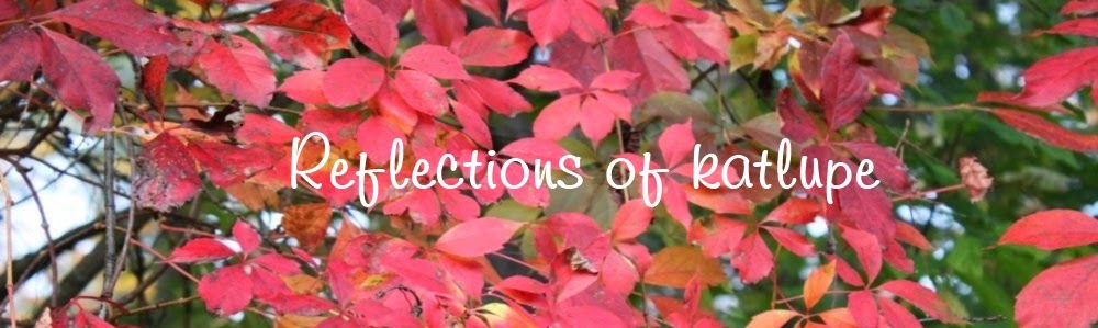 Reflections of katlupe