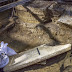  Αμφίπολη-Οι ανασκαφές συνεχίζονται  :Μαρμάρινο θυρόφυλλο κάτω από τον τρίτο θάλαμο 