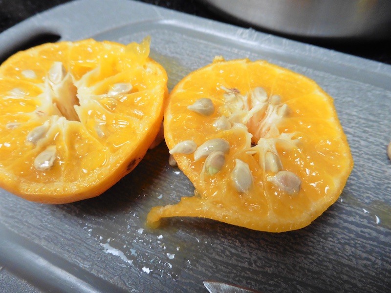 Prostmahlzeit Mandarinenmarmelade