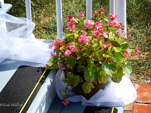 flowers and fabric
